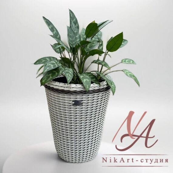 Конус Морская ракушка 20л